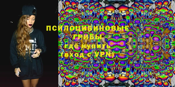 мдма Няндома