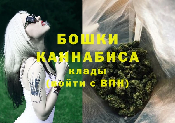 стафф Верхний Тагил
